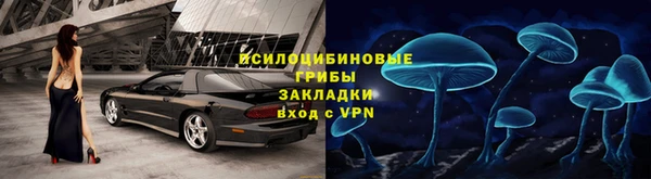 кокс Алзамай