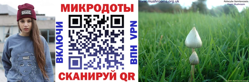 Псилоцибиновые грибы мухоморы Задонск