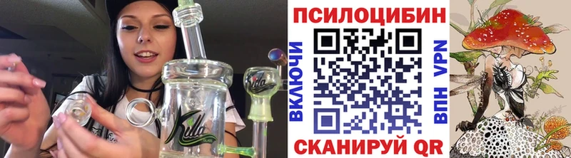 Псилоцибиновые грибы Psilocybine cubensis  Задонск 